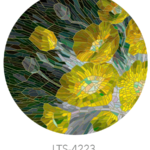 LTS-4223