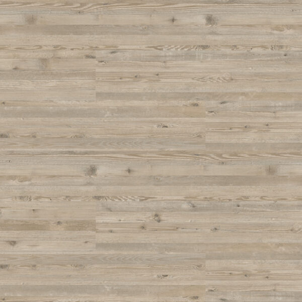 SWEDEN PINE
