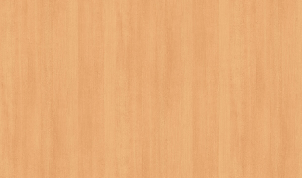 Beech - Image 1
