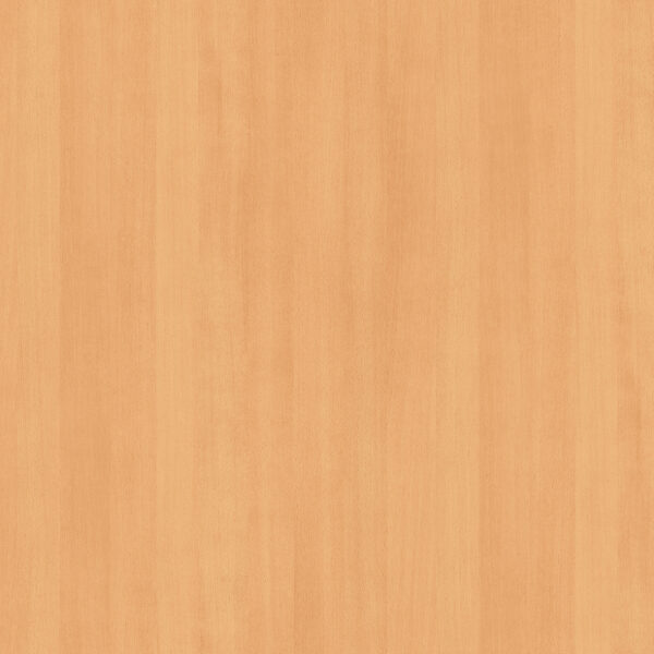 Beech