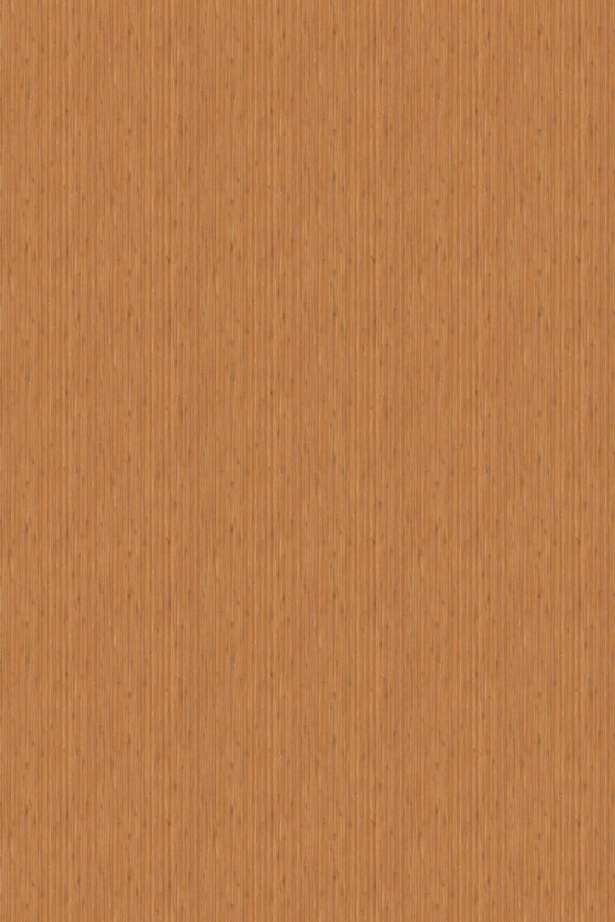 Bamboo - Image 1