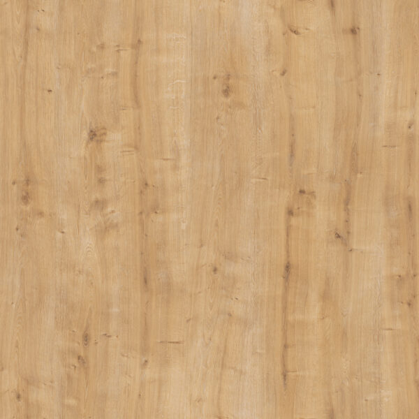 Sapphire Oak