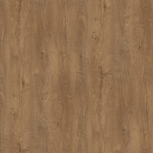 Caucasian Oak