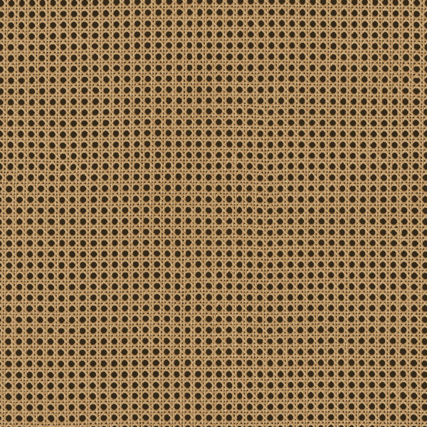 Rattan