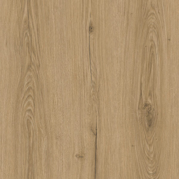 Authentic Oak